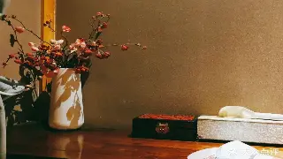 岭南韵味：佛山桑拿按摩的地域特色与文化底蕴