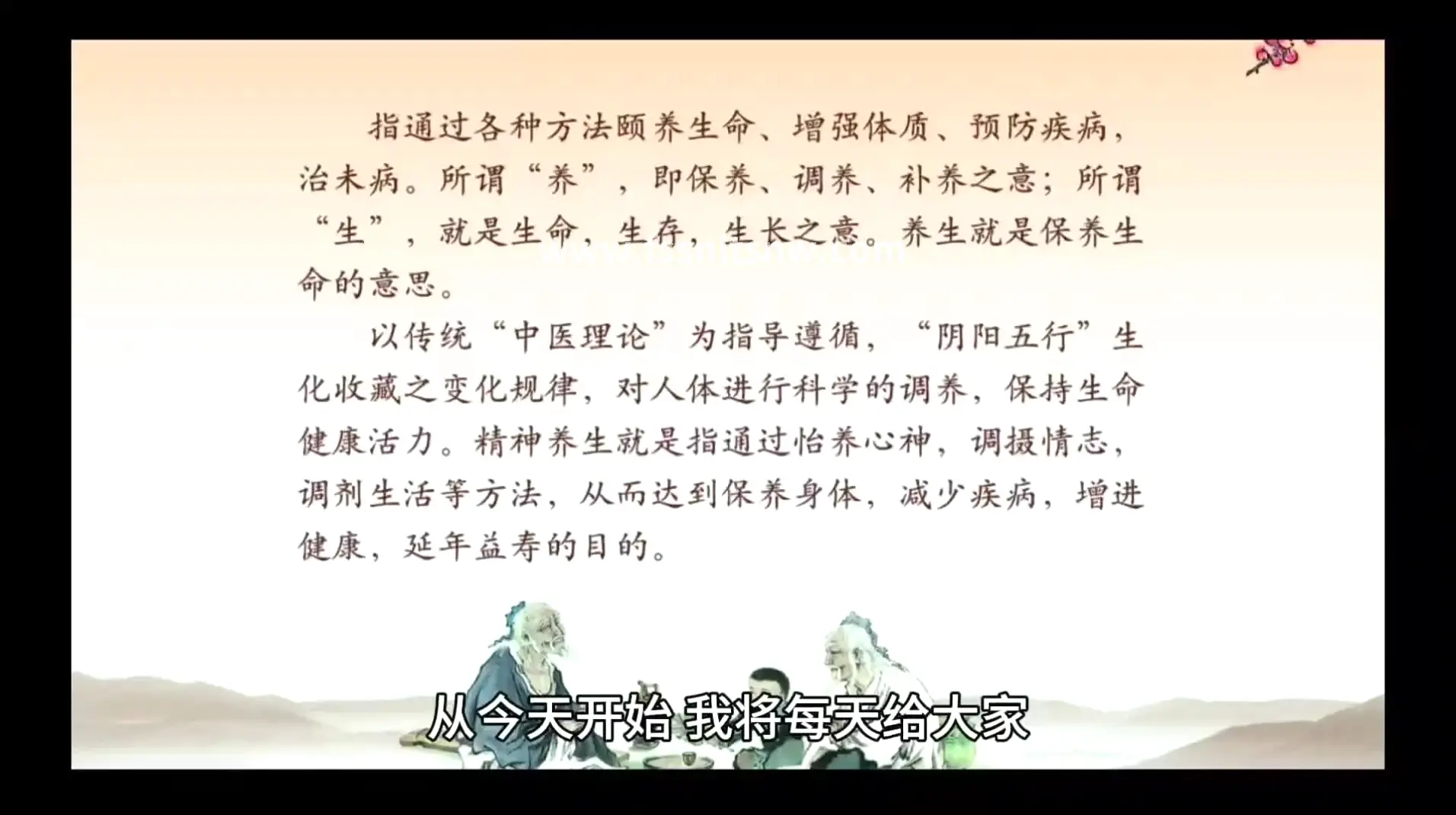 桑拿类型