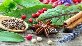 千年古法焕新生：揭秘按摩的前世今生，原来它比你想象的更古老！