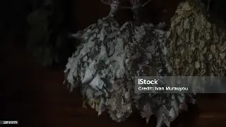 千年指尖舞：佛山按摩历史的传承与创新，不止于舒筋活络