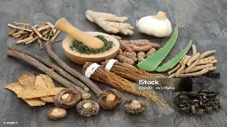 佛山叹世界：指尖上的岭南风情，按摩里的文化密码