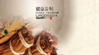 佛山叹世界：指尖上的岭南风情，按摩里的文化密码