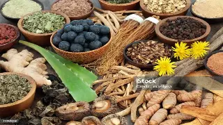 “慢”下来的力量：专访养生大师李时珍后裔，揭秘佛山长寿秘诀