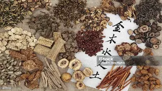 佛山禅宗与推拿：一脉相承的疗愈智慧 poster